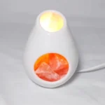 Imagen anterior del producto