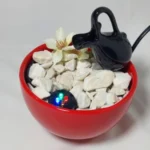 Imagen siguiente del producto