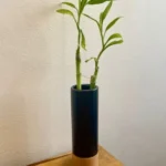 Imagen siguiente del producto