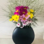 Imagen anterior del producto