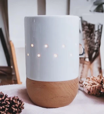 Hornito Electrico Tajo